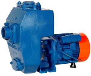 Kirloskar Sp Monoblock Pump