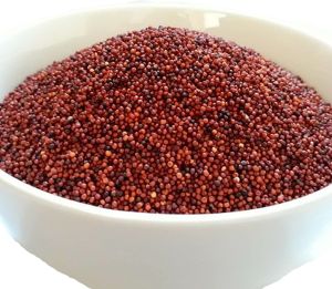 Finger Millet, Grade : Food Grade