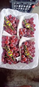 Red Globe Grape