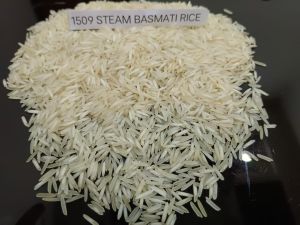 1509 Steam Basmati Chawal