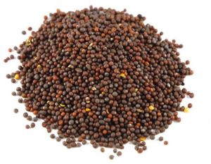 Brown Mustard Seeds For Cooking