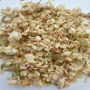 Dried Jasmine Flower