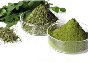 Moringa Leaves Powder