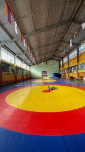 Printed PVC Wrestling Mat, Technics : Attractive Pattern