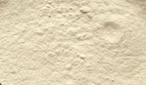 Raasi Natural Tamarind Seed Powder, Color : White, Packaging Size : 50kg, 50 KG, Packaging Type : Loose