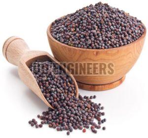 Black Mustard Seeds For Cooking