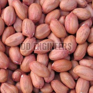 Bold Peanuts, Packaging Size : 25-50 Kg