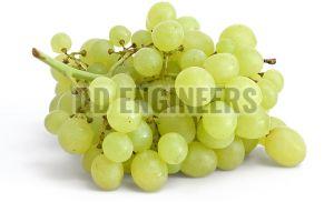 Fresh Green Grapes For Human Consumption