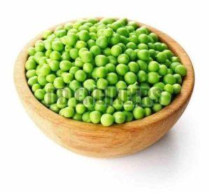 Fresh Green Peas, Packaging Type : PP Bag