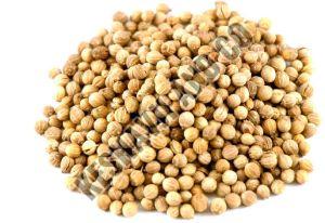 Natural Coriander Seeds