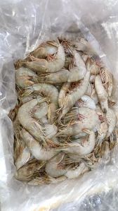 Fresh Water Shrimp