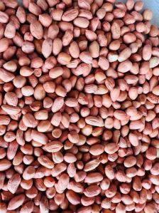 100 & 120 Grade Brown HPS Groundnut Seeds