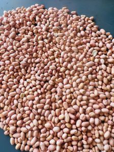 100 & 120 Grade New HPS Groundnut Seeds