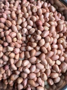 80 & 90 Grade Brown Groundnut Seeds