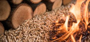 Biomass Wood Pellets