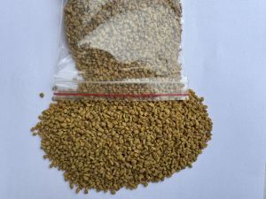 Fenugreek