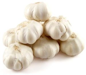 Garlic PREMIUM QUALITY