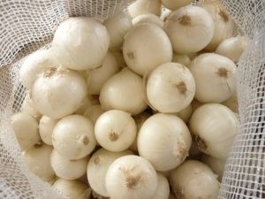 Fresh White Onion