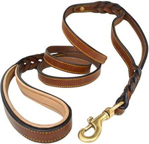 Leather Dog Leashes