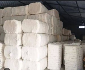 Raw Cotton Bale