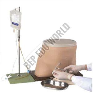 Polished Plastic Dialysis Simulator Model For Medical College