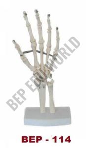 PVC Hand Bone Joint Model For Medical Institute