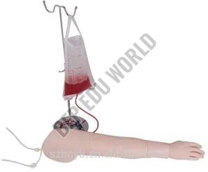 Multi Functional IV Training Manikin For Medical Colleges, Nursing Institutes