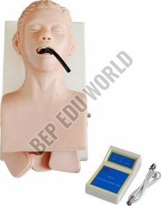 Trachea Intubation Simulator Model