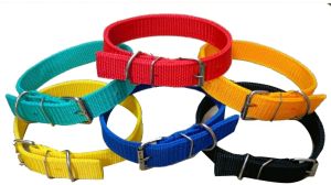 Multicolor Nylon Dog Collar, Buckle Material : Stainless Steel