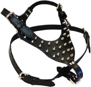 Studded Leather Dog Harness, Color : Black