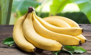 Natural Fresh Cavendish Banana For Human Consumption