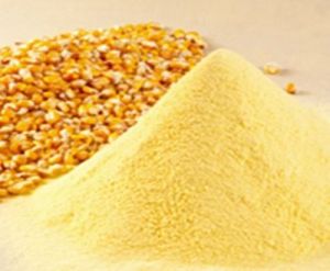 Natural Yellow Corn Flour, Color : Creamy, Packaging Type : PP Laminated For Cooking