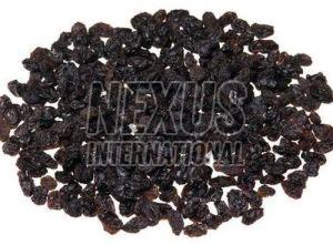 Currant Raisins, Color : Black, Packaging Type : Plastic Pack