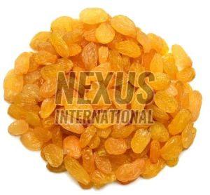 Golden Raisins, Taste : Sweet, Packaging Type : Plastic Pack, Packaging Size : 1Kg