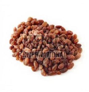 Sultana Raisins, Packaging Size : 1Kg For Used Snacking, Baking, Smoothies, Salads, Granola, Oatmeal