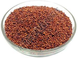 Finger Millet Seeds, Color : Red, Packaging Type : PP Bag, Packaging Size : 5-25kg