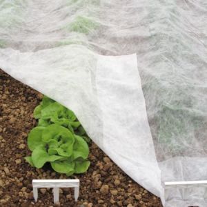 Plain Non Woven Fabric Modular Crop Covers, Color : White, Packaging Type : Rolls For Agriculture