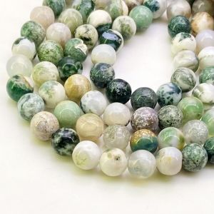 Natural Tree Agate Smooth Round Gemstone Beads Strand