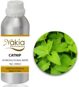 Catnip Floral Water/hydrosol