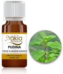 Pudina Flavouring Essence