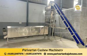 Double Head Cashew Peeling Machine, Weight : 200kg