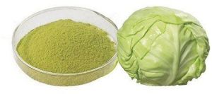 Cabbage Powder