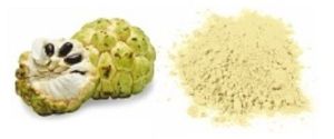 Custard Apple Juice Powder