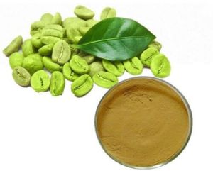 Green Coffee Extract