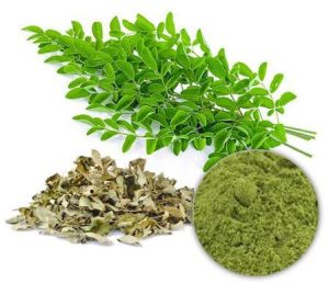 Moringa Powder