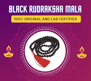 Black Rudraksha Mala