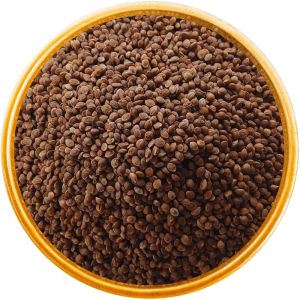 Organic Kodo Millet Seeds, Color : Brown Dried