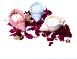 Paraffin Wax Concrete Sea Shell Candle, Color : Peach, Blue, Off White, Yellow, Speciality : Fine Finished