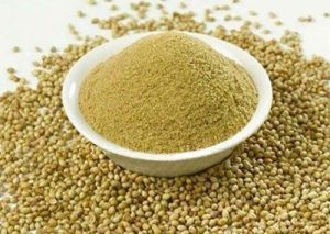 Green Coriander Powder