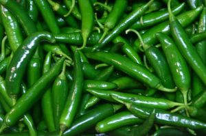 Common Green Chilli, Packaging Type : Ganny Bag, Storage Tips : Dry Place For Food, Pickles